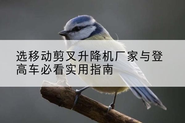 鹤峰电动升降机厂家-选移动剪叉升降机厂家与登高车必看实用指南