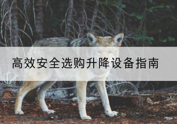 鹤峰升降货梯厂家推荐-*安全选购升降设备指南