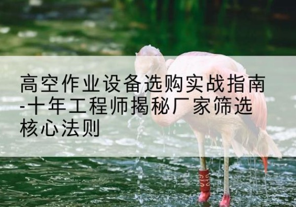 鹤峰剪叉式升降机厂家-高空作业设备选购实战指南-十年工程师揭秘厂家筛选核心法则